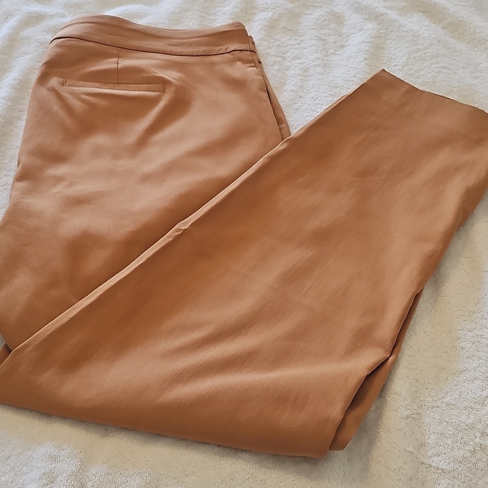 NEW JM Collection Plus Size Pull On Cambridge Pants Canyon Trail 1X - Picture 6 of 15